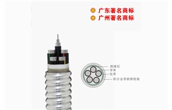 YJXLHLK-0.6/1kV YJXLHLK-0.6/1kV